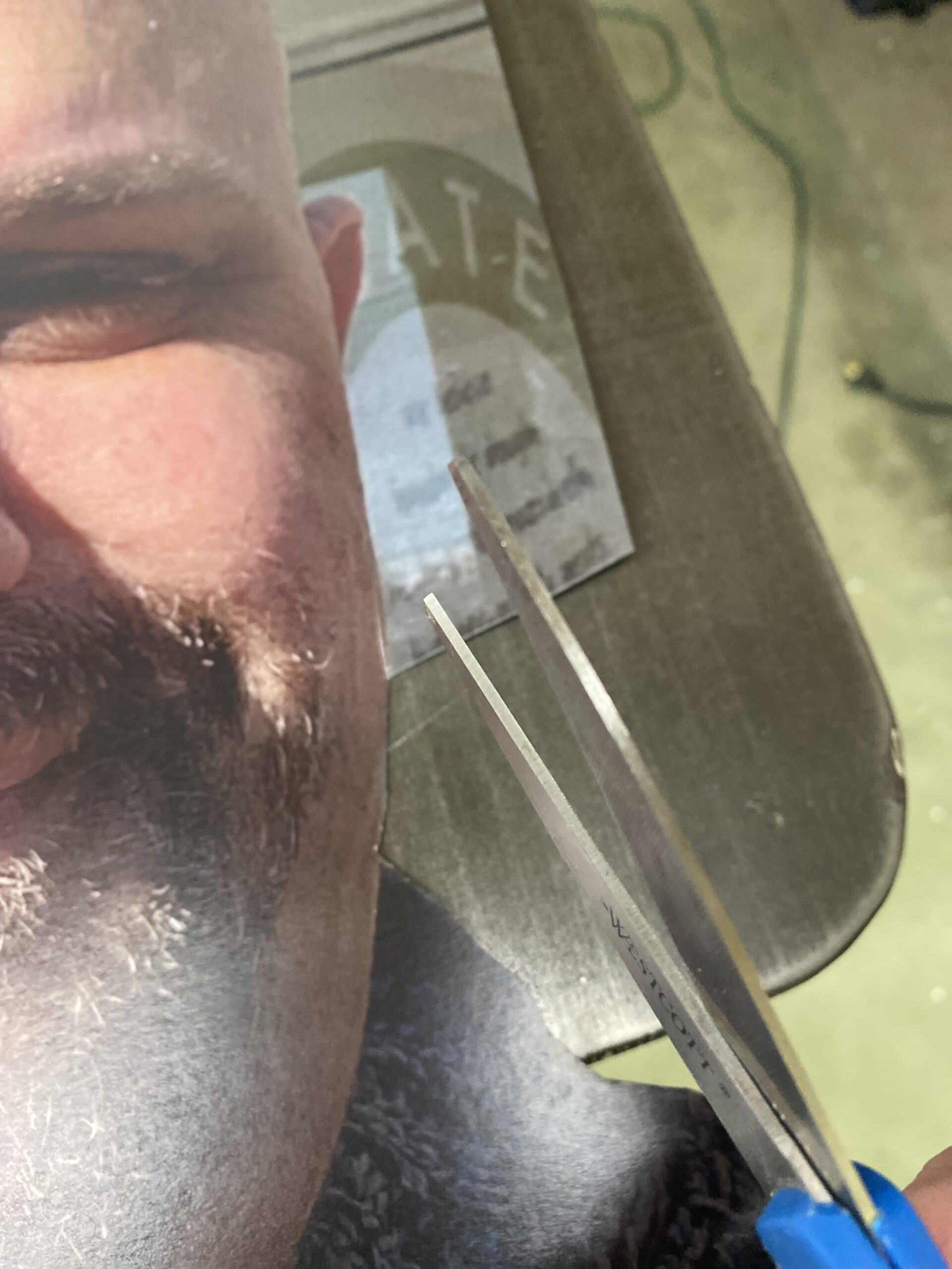 Fatheads (Big Heads) SteveZ DesignZ